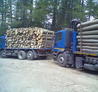 Lavorazioni legno Grosso Legnami